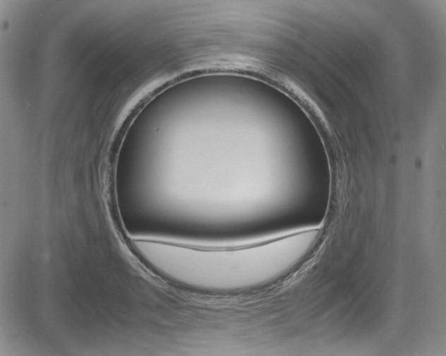 X0000085011085200703050955