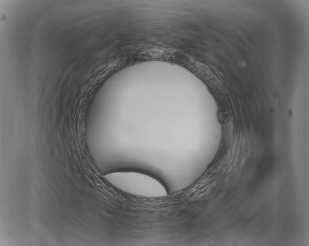 X0000085011105200703050954