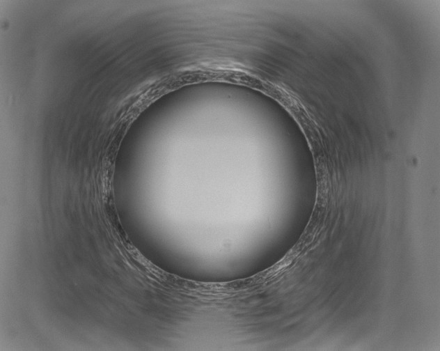 X0000085011110200703050954