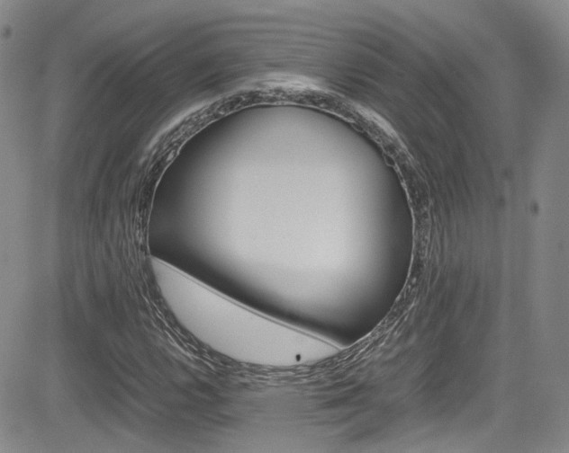 X0000085011112200703050954