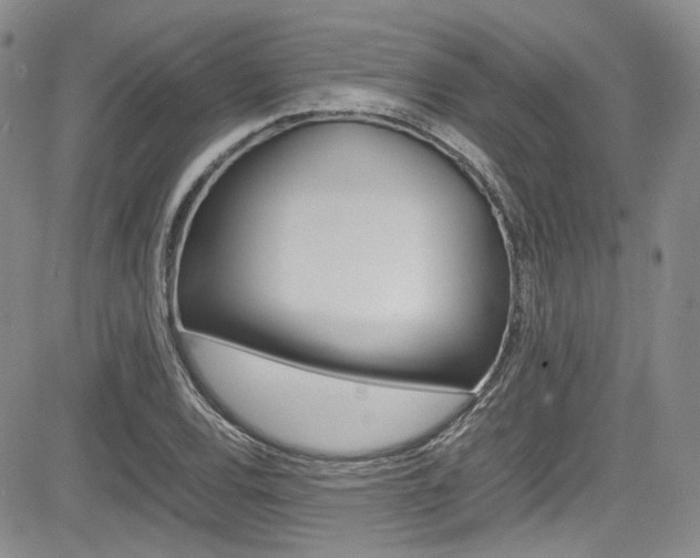 X0000085011120200703050954