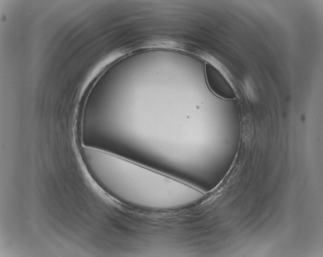 X0000085011139200703050954
