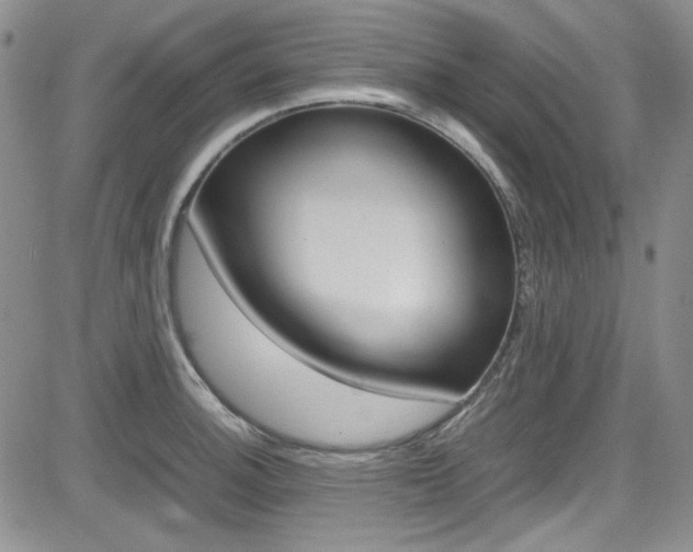 X0000085011140200703050954