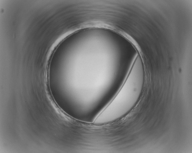 X0000085011144200703050955