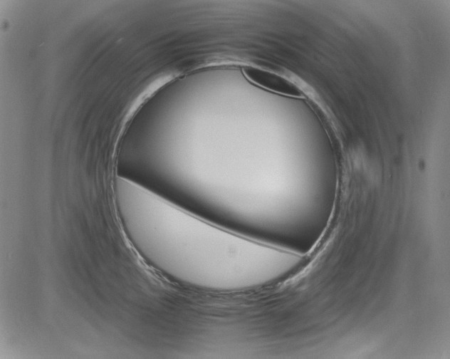 X0000085011145200703050955