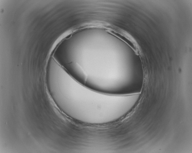 X0000085011146200703050955