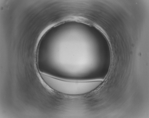 X0000085011152200703050955