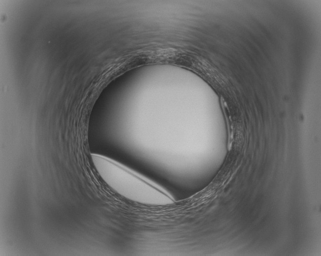 X0000085011153200703050954