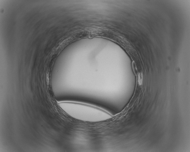 X0000085011155200703050954