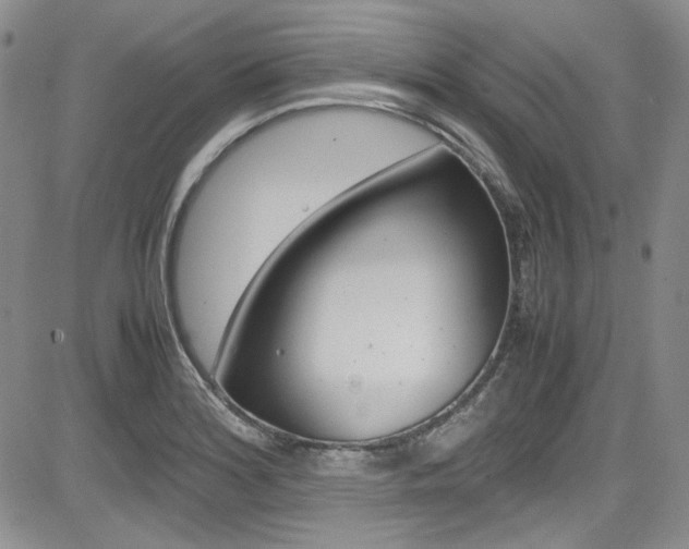X0000085011180200703050953