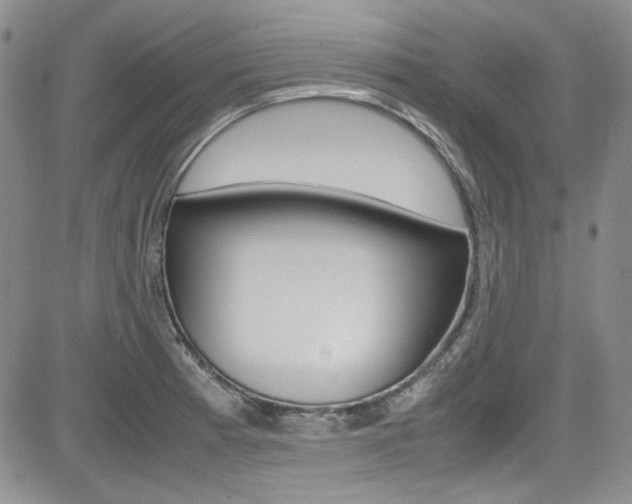 X0000085011185200703050953