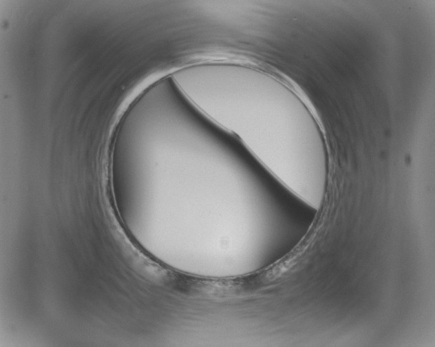 X0000085011195200703050953