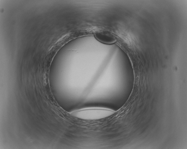 X0000085011205200703050952