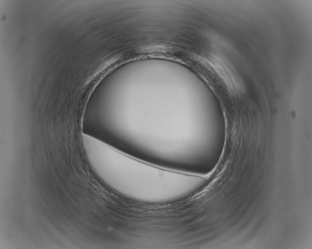 X0000085011209200703050952