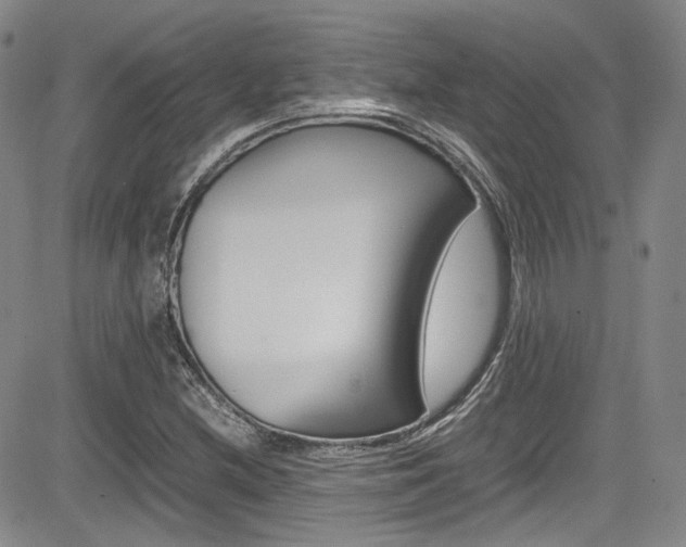 X0000085011212200703050952