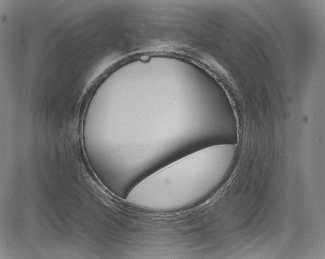 X0000085011216200703050953