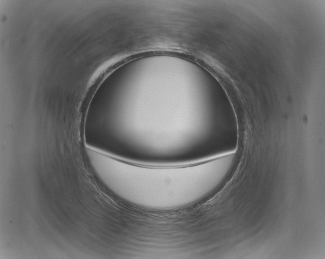 X0000085011222200703050953