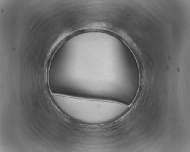 X0000085011224200703050953