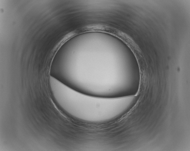 X0000085011225200703050953