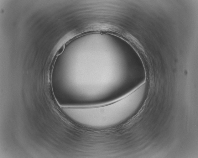 X0000085011226200703050953