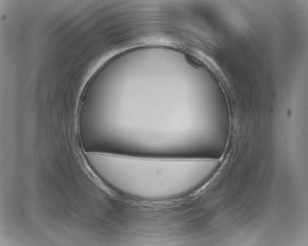 X0000085011236200703050953