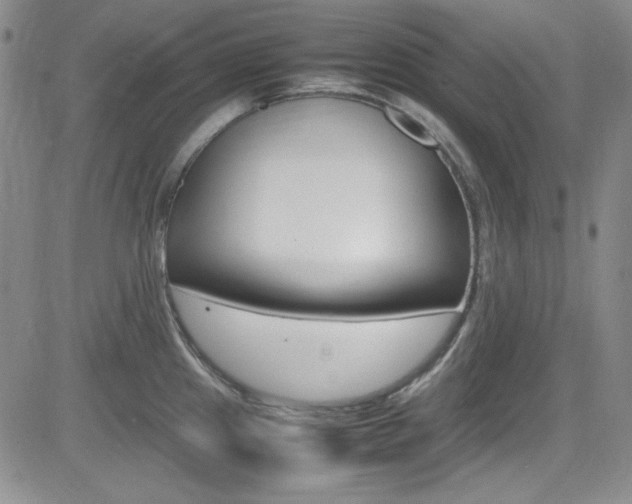 X0000085011241200703050953