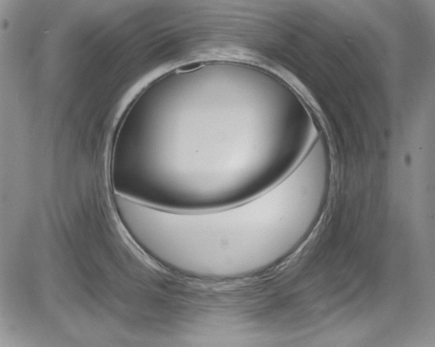 X0000085011246200703050953