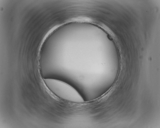 X0000085011248200703050953