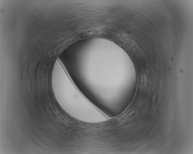 X0000085011250200703050952