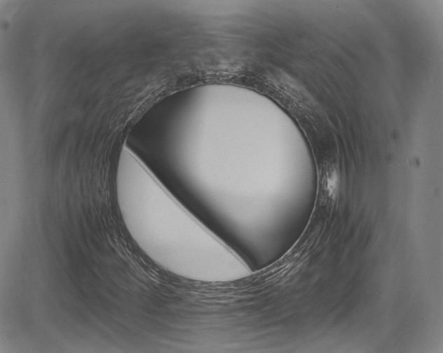 X0000085011252200703050952