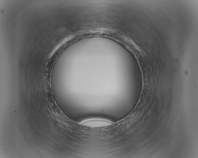 X0000085011256200703050952