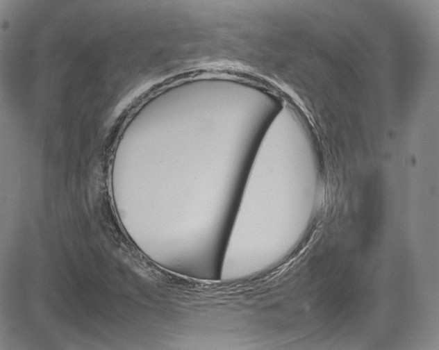 X0000085011263200703050952