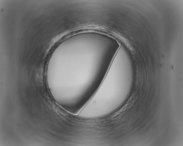 X0000085011264200703050952
