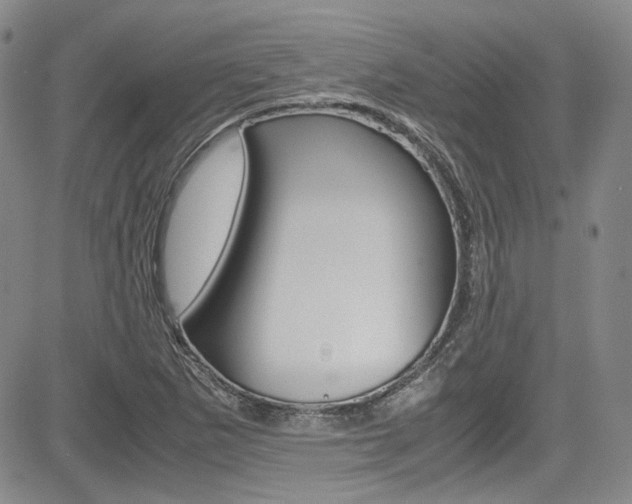 X0000085011265200703050952