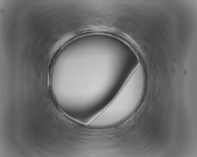 X0000085011269200703050952