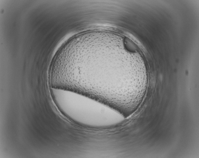 X0000085011283200703050952
