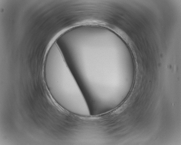 X0000085011296200703050951