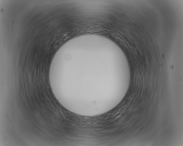 X0000085011298200703050951