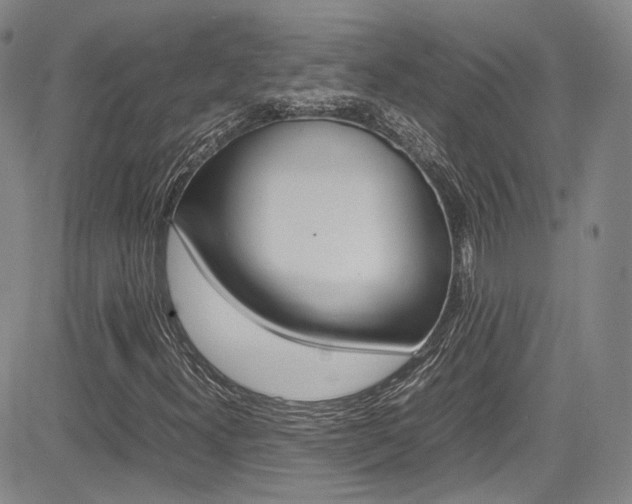 X0000085011300200703050951