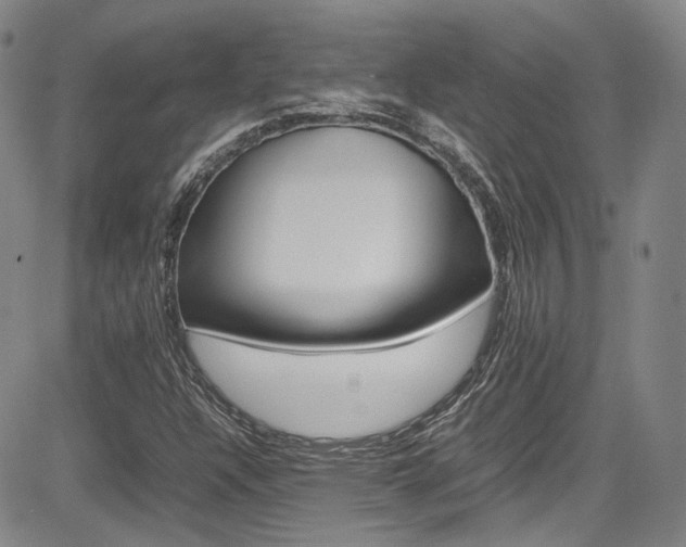 X0000085011304200703050951