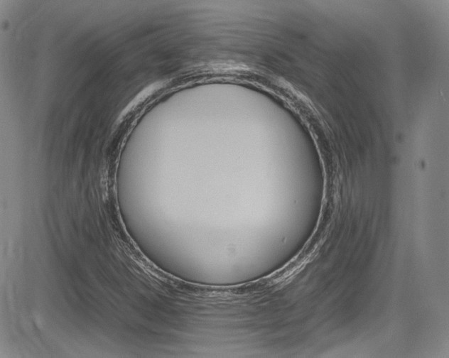X0000085011306200703050951