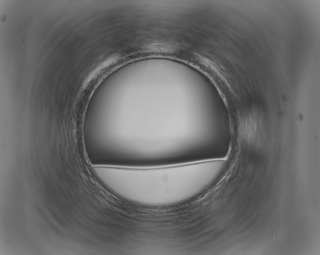 X0000085011307200703050951
