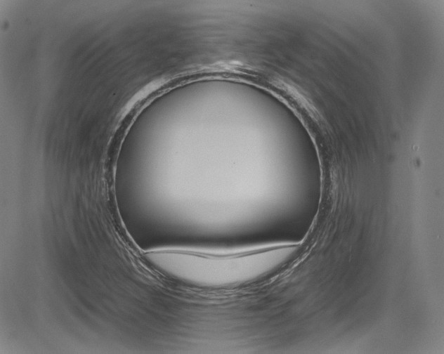 X0000085011308200703050951