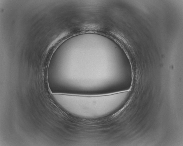 X0000085011309200703050951
