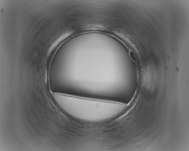 X0000085011317200703050951