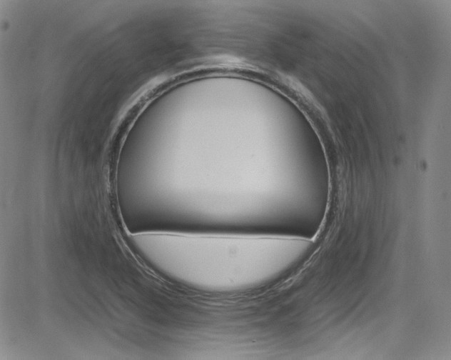 X0000085011318200703050951