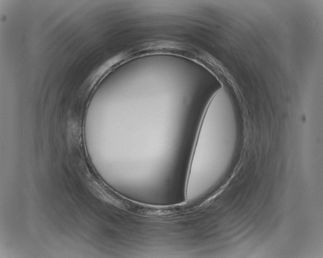 X0000085011321200703050951