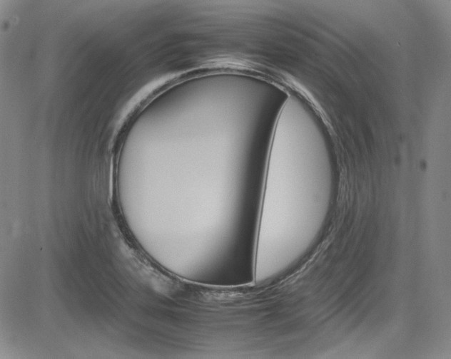X0000085011323200703050951