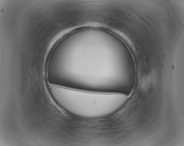 X0000085011327200703050951