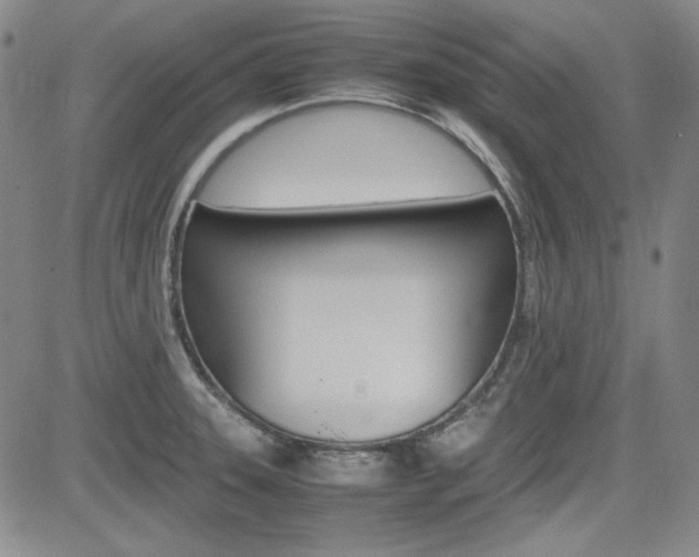 X0000085011331200703050951